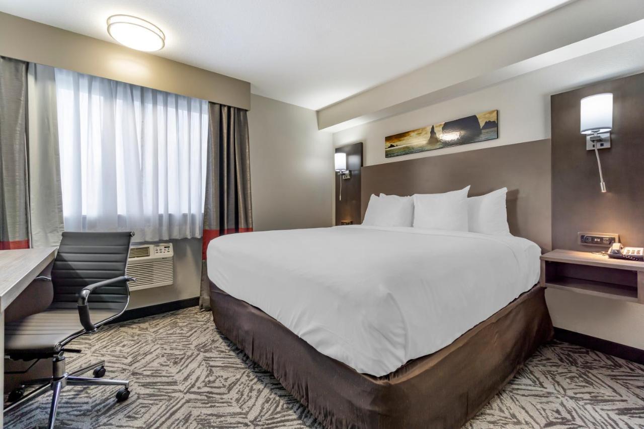 Comfort Inn & Suites Pacific - Auburn المظهر الخارجي الصورة